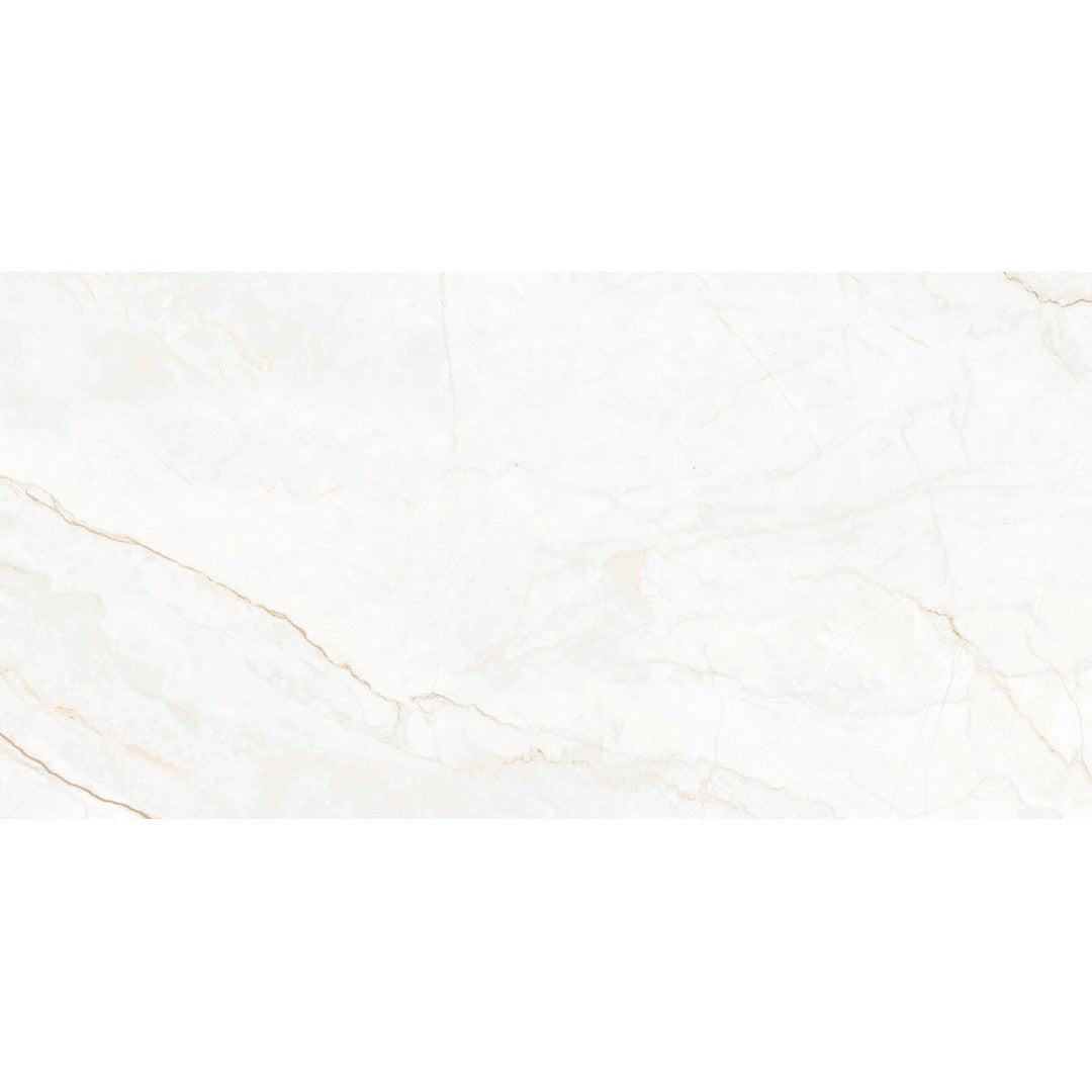 Happy Floors Statik 12" x 24" Natural Porcelain Tile