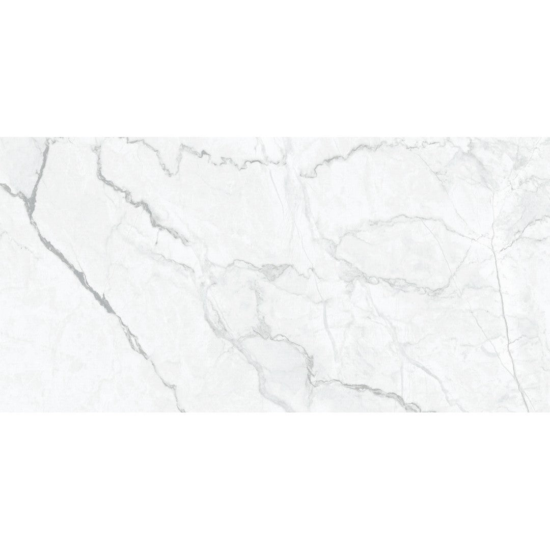 Happy Floors Statik 12" x 24" Natural Porcelain Tile