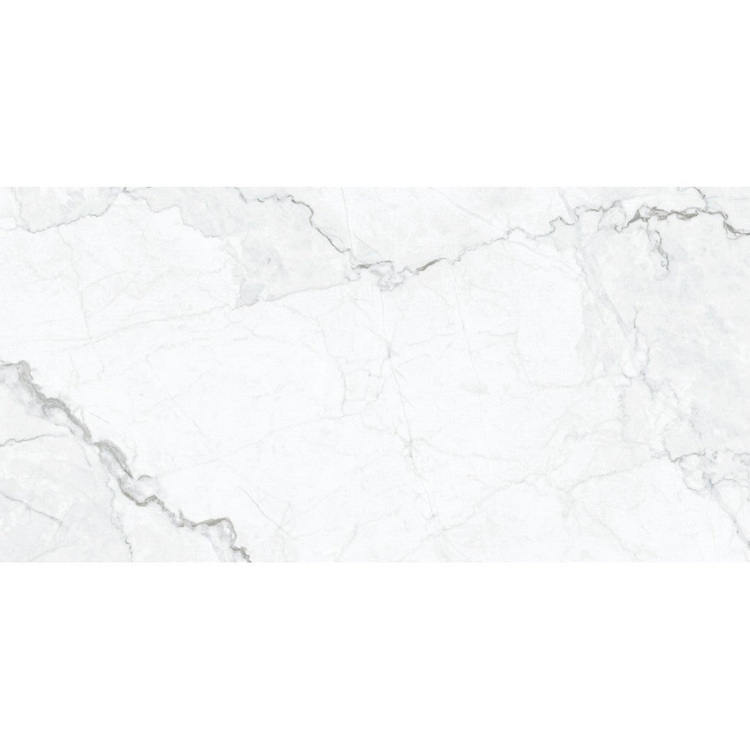 Happy Floors Statik 12" x 24" Polished Porcelain Tile