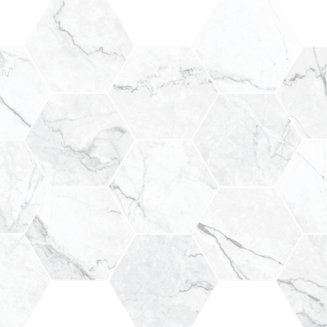 Happy Floors Statik 10" x 14" Polished Porcelain Hexagon Mosaic