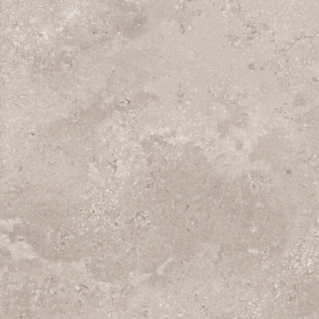Happy Floors Timeless 24" x 24" Rectified Natural Porcelain Tile