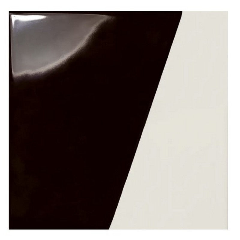 WOW Duo 6" x 6" Glossy & Matte Porcelain Tile