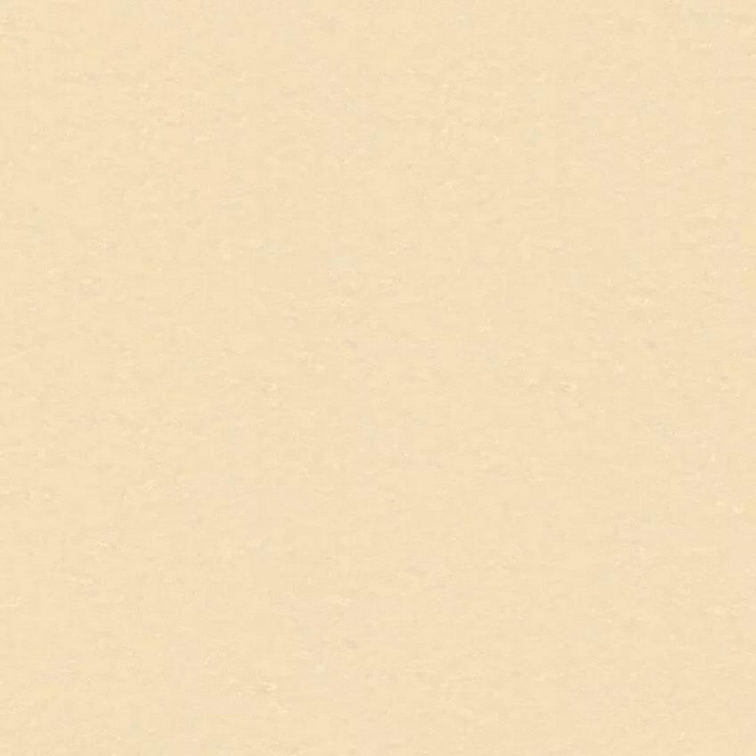 Tarkett LinoFloor xf2 Originale 6'6" Linoleum Floor Sheet