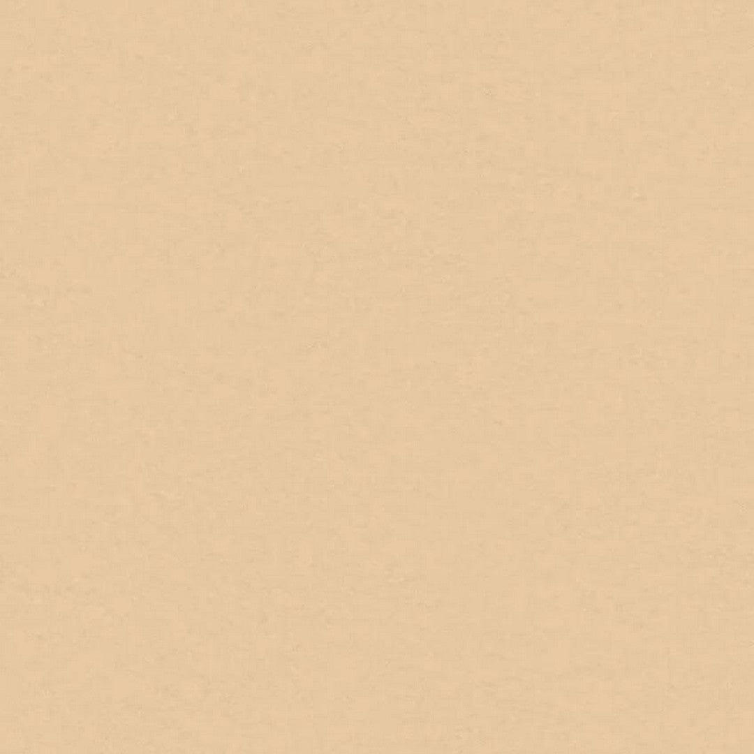 Tarkett LinoFloor xf2 Originale 6'6" Linoleum Floor Sheet