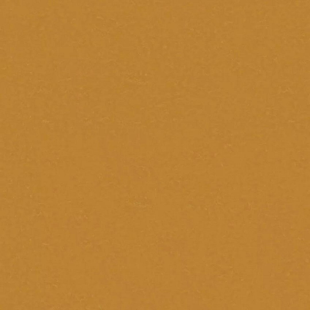 Tarkett LinoFloor xf2 Originale 6'6" Linoleum Floor Sheet