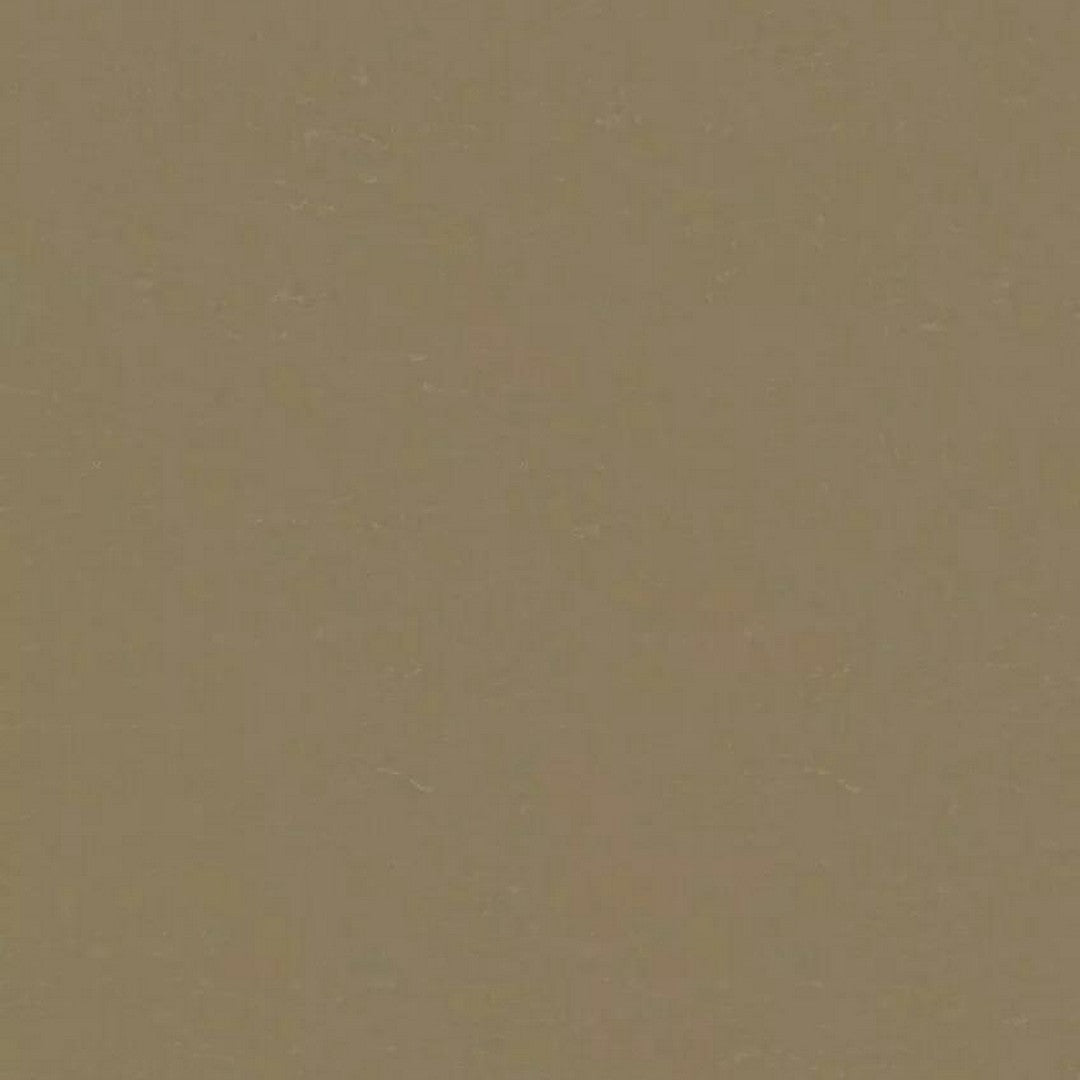 Tarkett LinoFloor xf2 Originale 6'6" Linoleum Floor Sheet