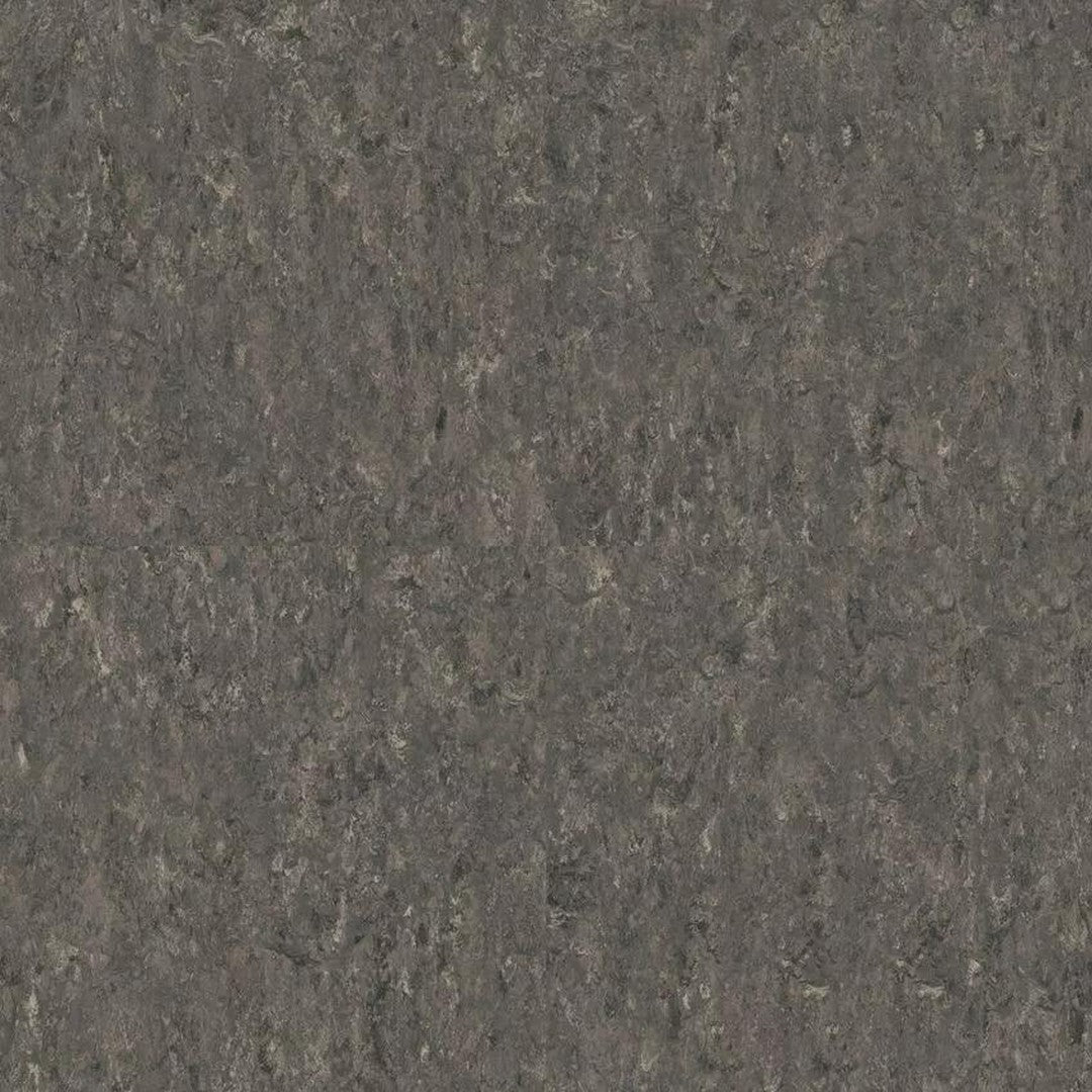 Tarkett LinoFloor xf2 Veneto 6'6" Linoleum Floor Sheet