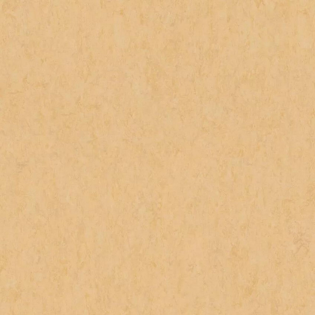 Tarkett LinoFloor xf2 Veneto 6'6" Linoleum Floor Sheet