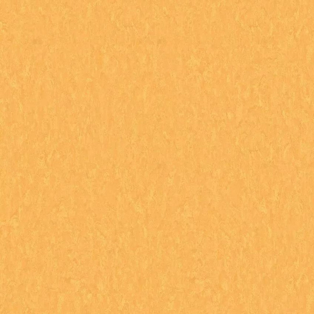 Tarkett LinoFloor xf2 Veneto 6'6" Linoleum Floor Sheet