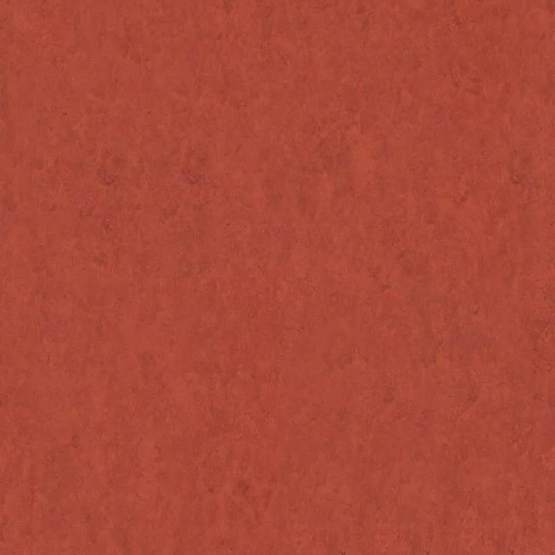 Tarkett LinoFloor xf2 Veneto 6'6" Linoleum Floor Sheet