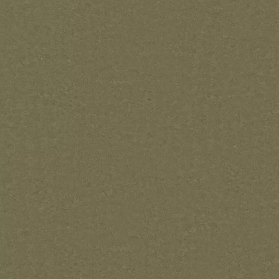 Tarkett LinoFloor xf2 Veneto 6'6" Linoleum Floor Sheet