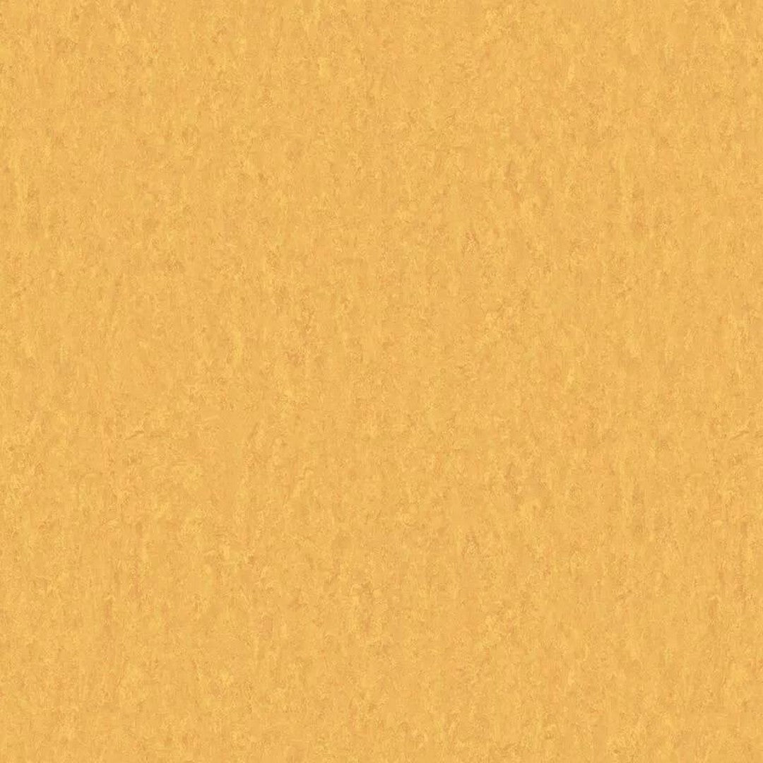 Tarkett LinoFloor xf2 Emme 6'6" Linoleum Floor Sheet