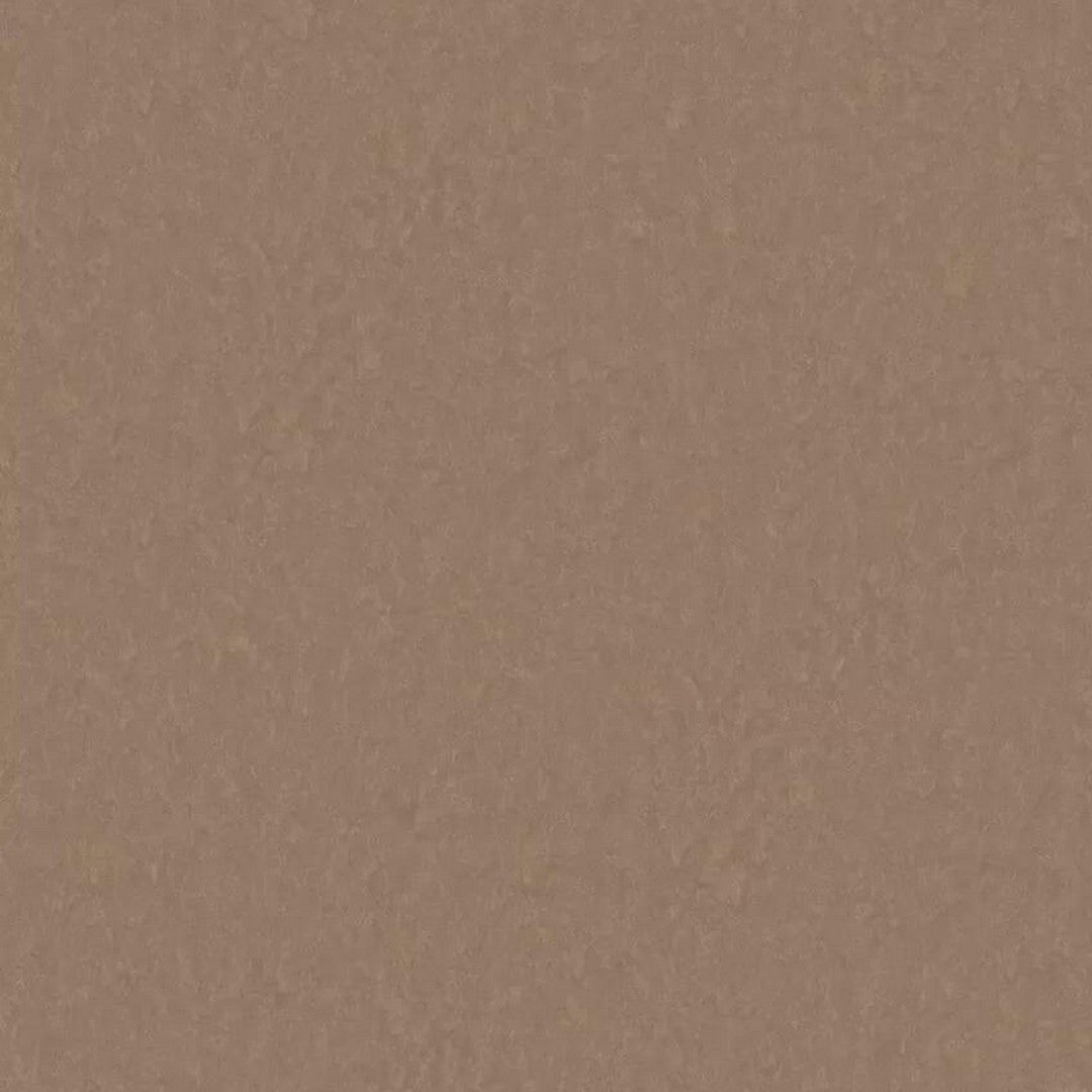 Tarkett LinoFloor xf2 Emme 6'6" Linoleum Floor Sheet