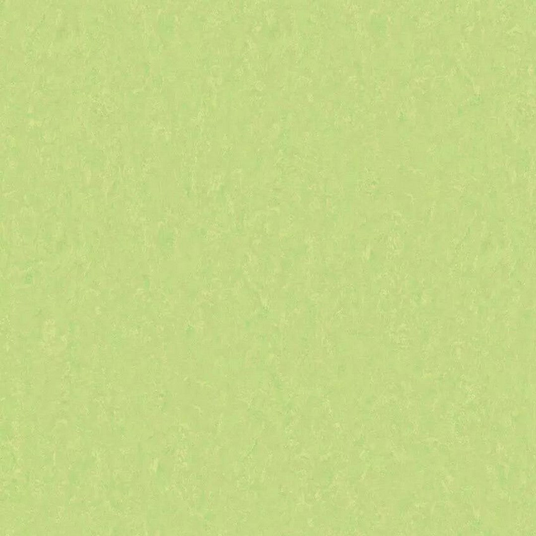 Tarkett LinoFloor xf2 Emme 6'6" Linoleum Floor Sheet