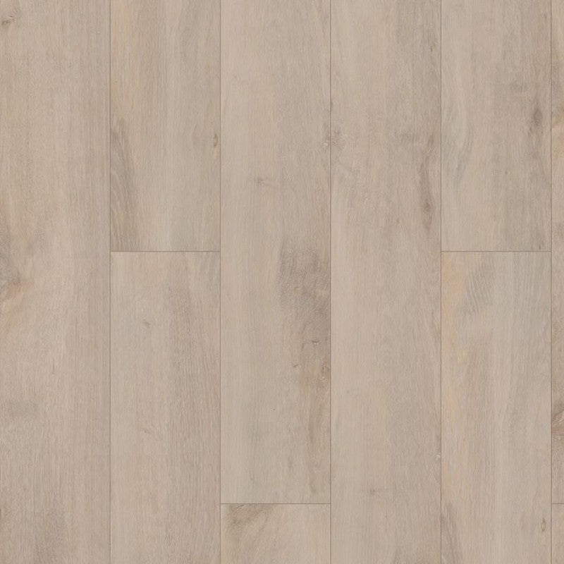 Shaw Allegiance + ACC 7" x 48" Luxury Vinyl Plank 20 mil