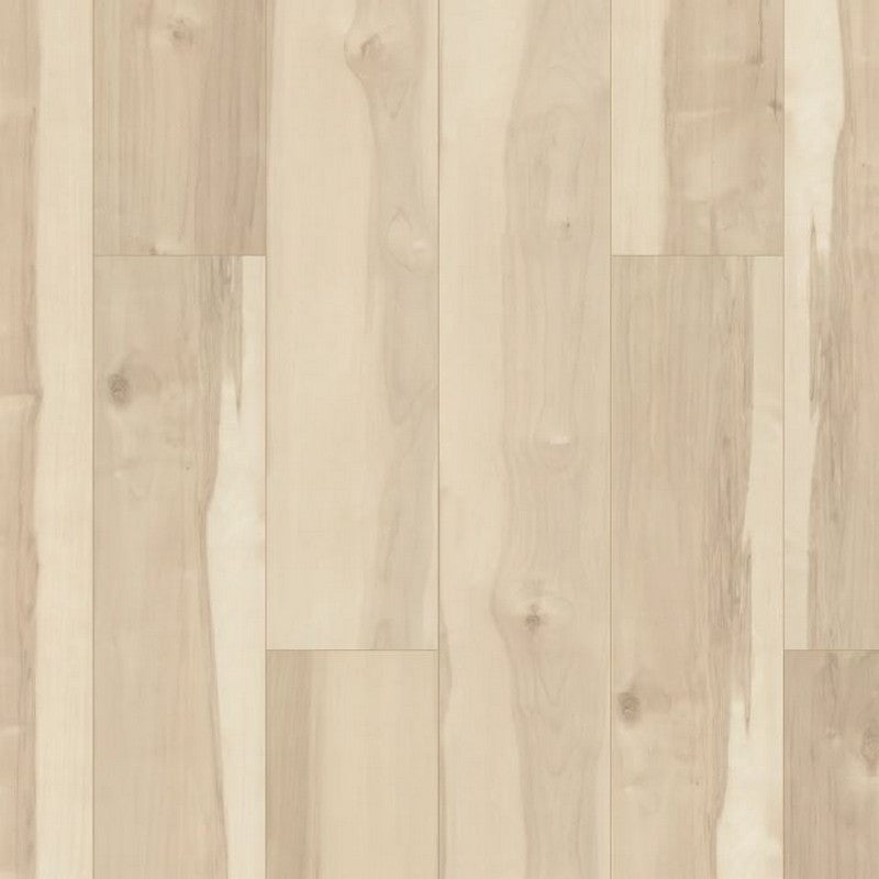 Shaw Allegiance + ACC 7" x 48" Luxury Vinyl Plank 20 mil