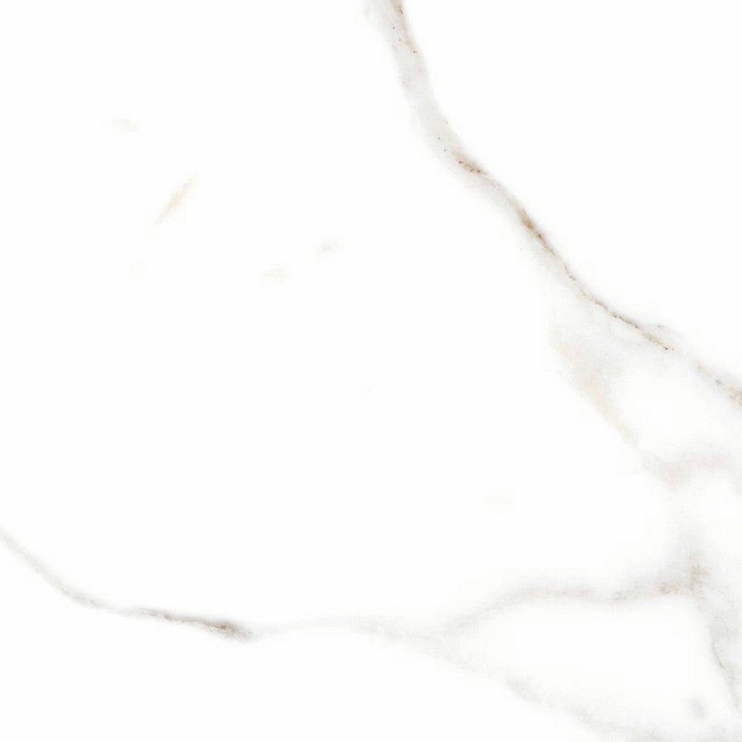 Alfagres Calacata 18" x 18" Matte Ceramic Tile