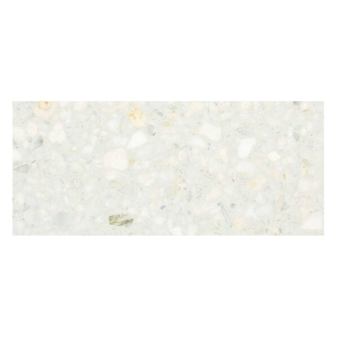 Alfagres Classic 12" x 24" Polished Terrazzo Tile