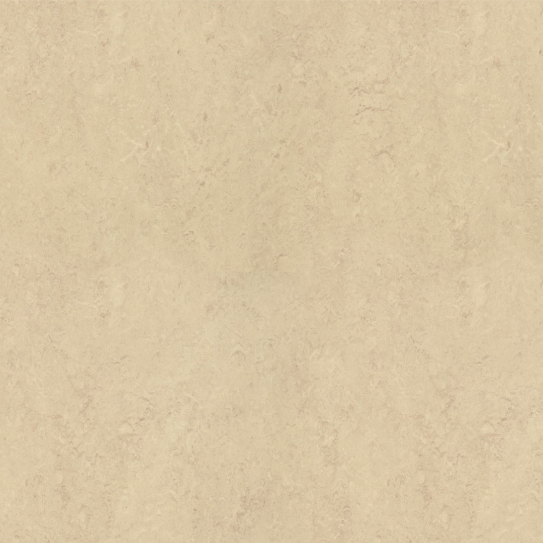 Forbo Marmoleum Real 6.5' x 105' Smooth Vinyl Sheet