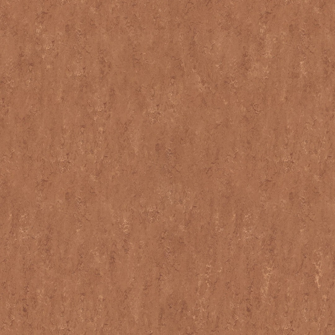 Forbo Marmoleum Real 6.5' x 105' Smooth Vinyl Sheet