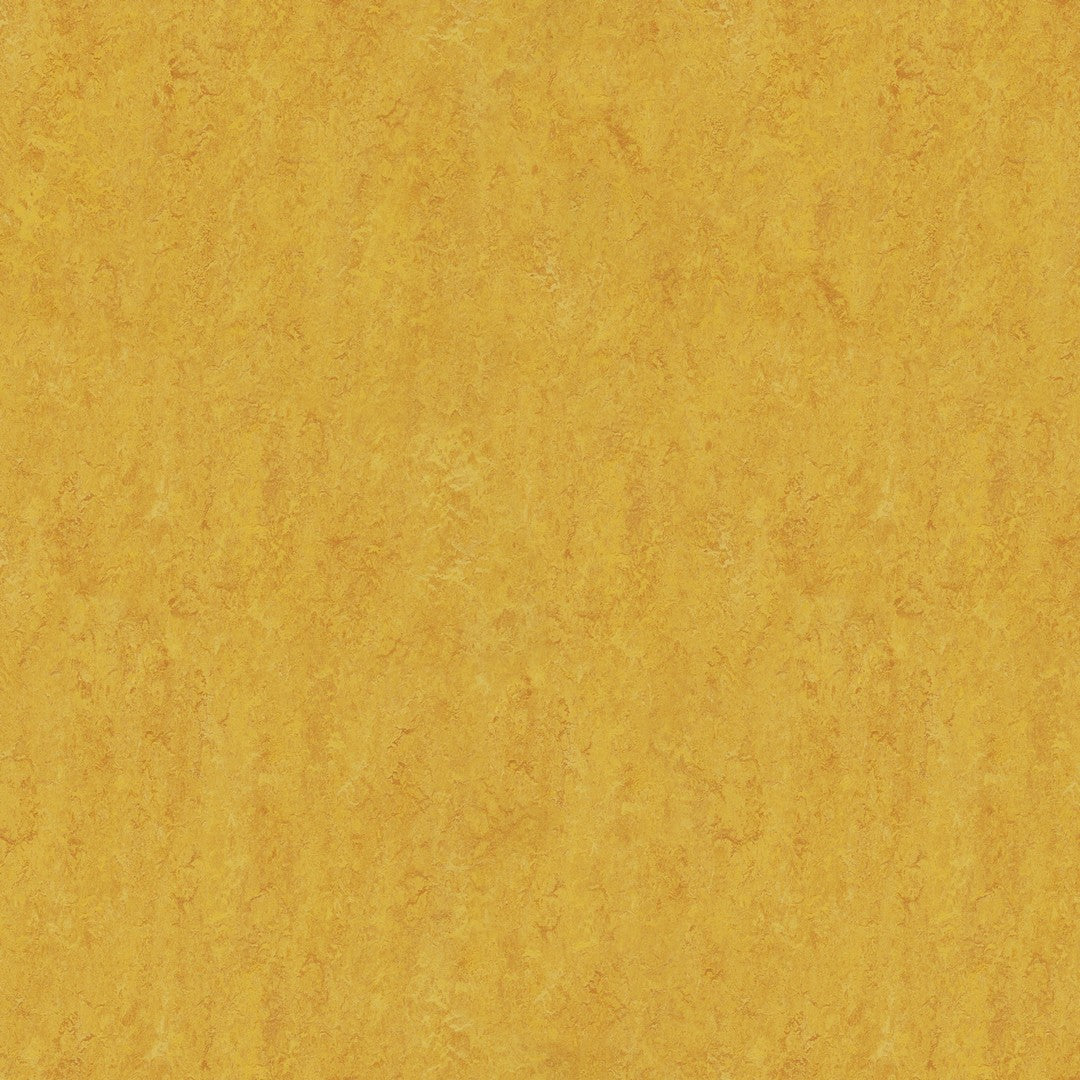 Forbo Marmoleum Real 6.5' x 105' Smooth Vinyl Sheet