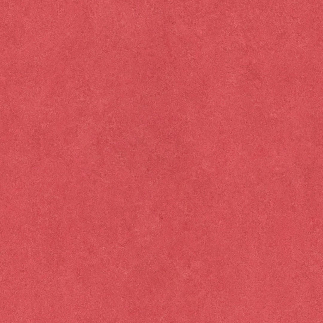 Forbo Marmoleum Fresco 6.5' x 105' Smooth Vinyl Sheet