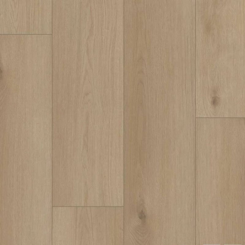 Shaw Northern Voyage 9" x 60" Luxury Vinyl Plank 20 mil