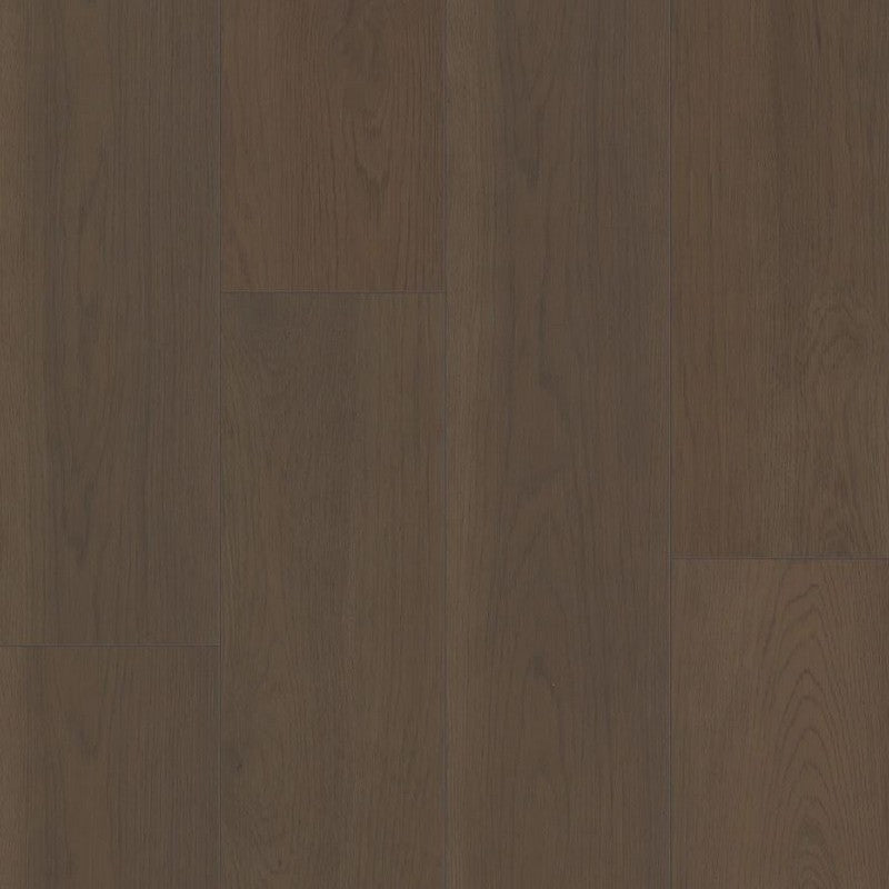 Shaw Northern Voyage 9" x 60" Luxury Vinyl Plank 20 mil