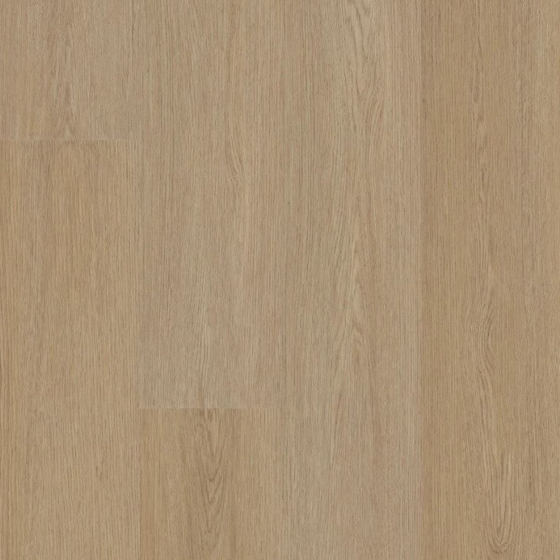 Shaw-Aspire-Natural-Bevel-9"-x-60"-WPC-Vinyl-Plank-20-mil-Trailblazer-Brown