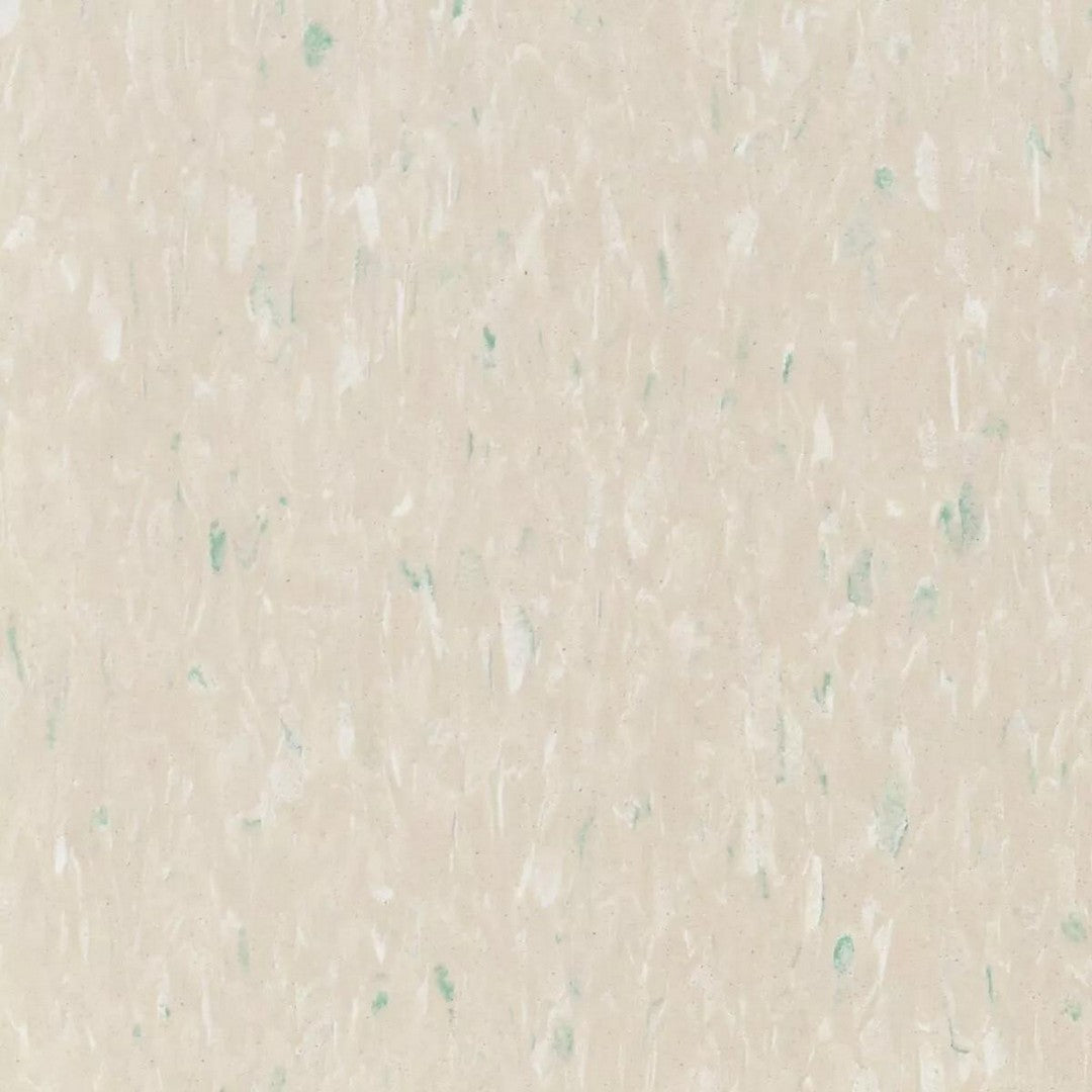 Tarkett Standard VCT II 12" x 12" Vinyl Tile