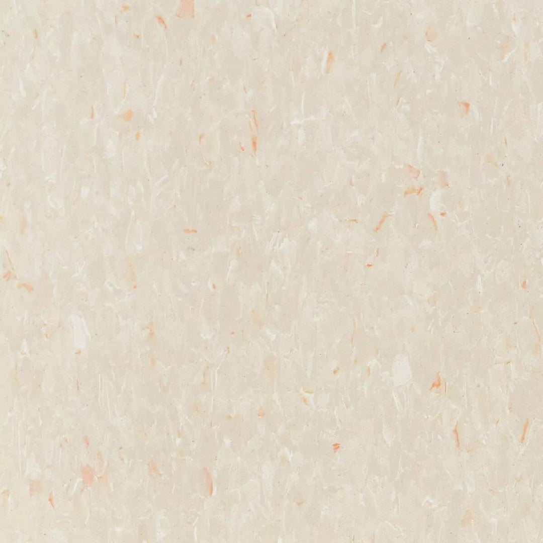 Tarkett Standard VCT II 12" x 12" Vinyl Tile
