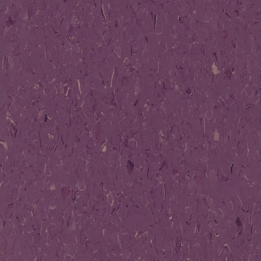 Tarkett Standard VCT II 12" x 12" Vinyl Tile