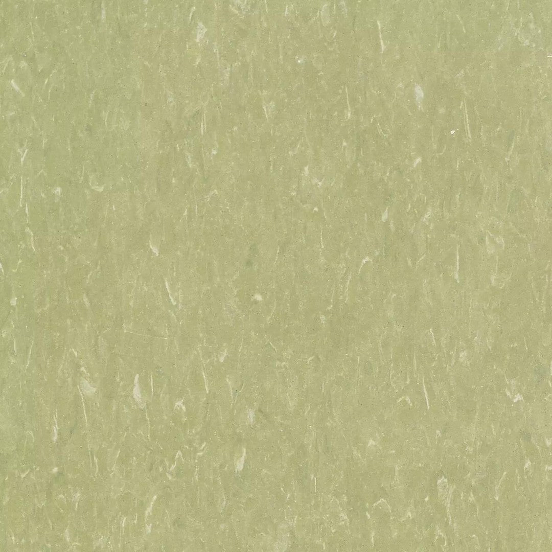 Tarkett Standard VCT II 12" x 12" Vinyl Tile
