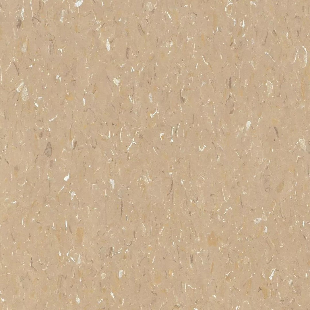 Tarkett Standard VCT II 12" x 12" Vinyl Tile