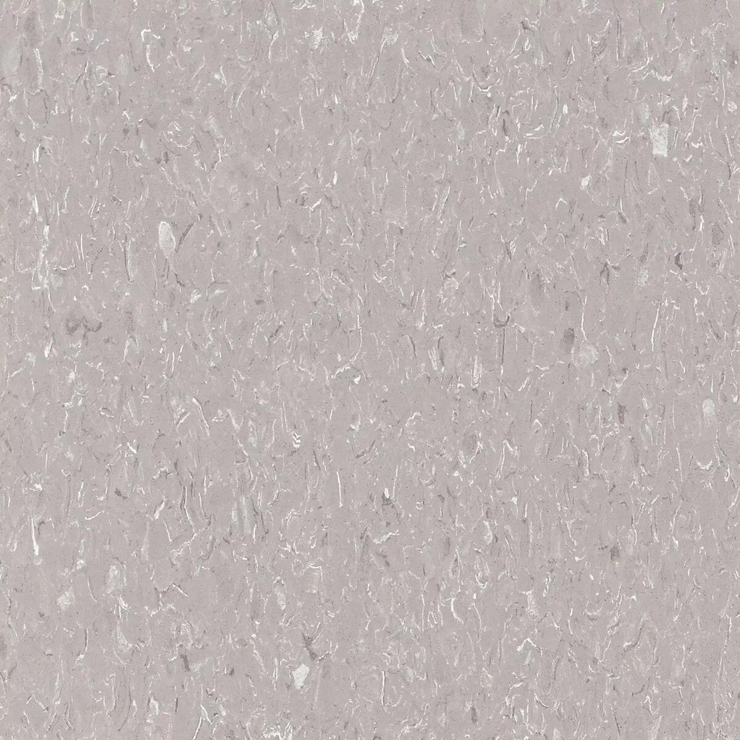 Tarkett Standard VCT II 12" x 12" Vinyl Tile