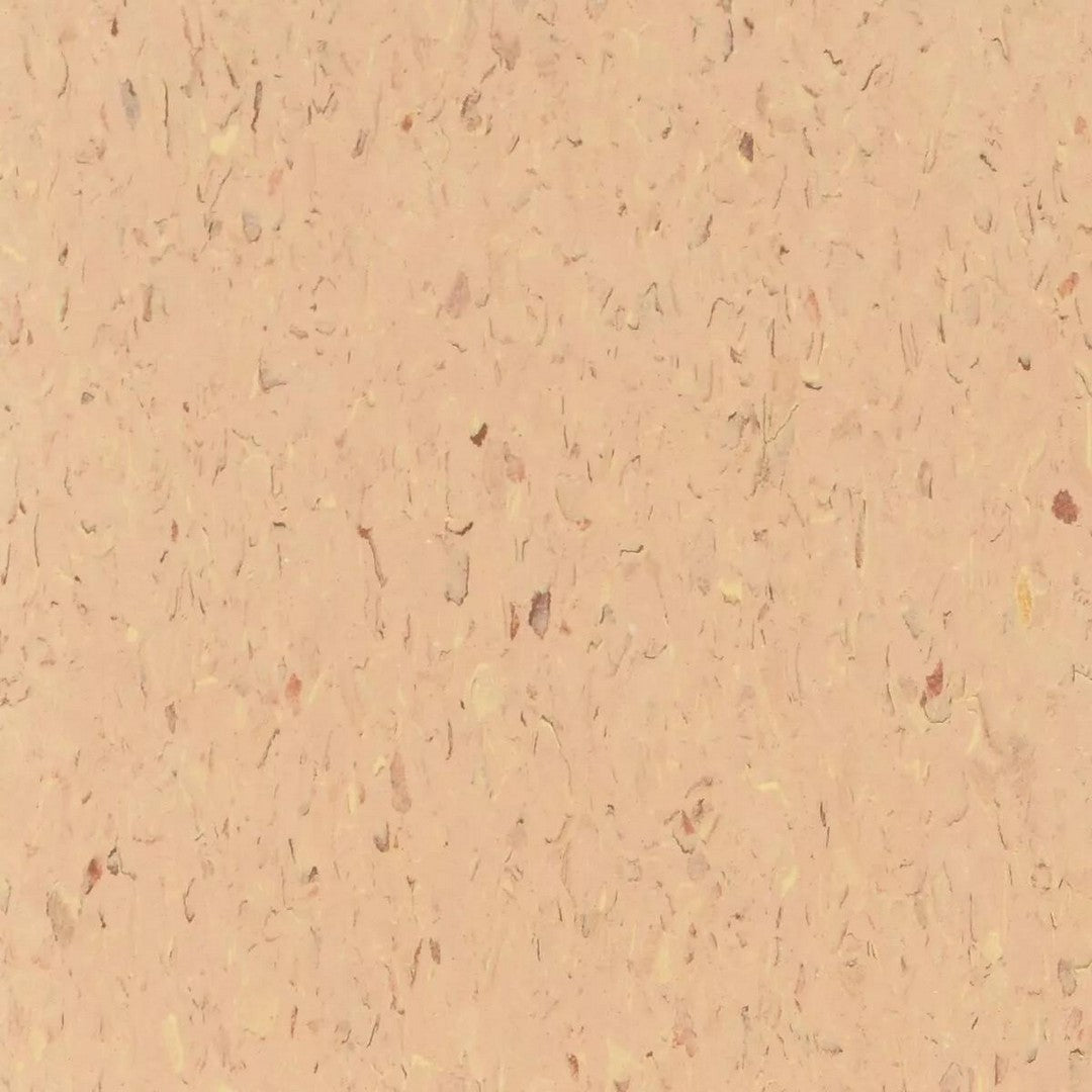 Tarkett Standard VCT II 12" x 12" Vinyl Tile