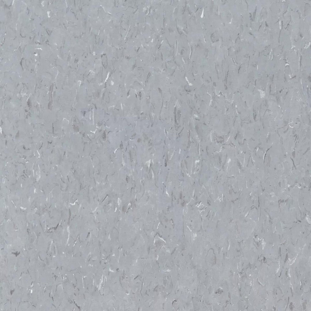 Tarkett Standard VCT II 12" x 12" Vinyl Tile