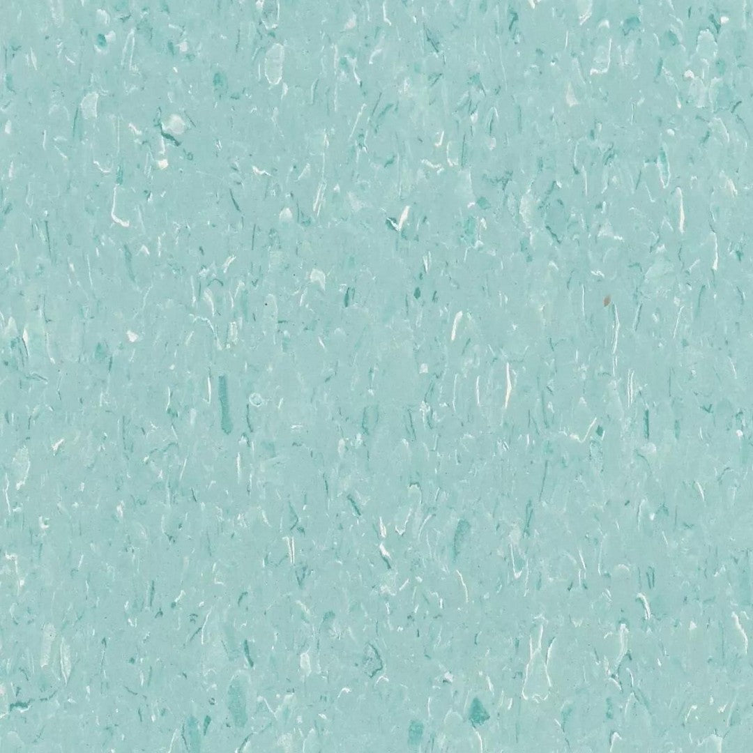 Tarkett Standard VCT II 12" x 12" Vinyl Tile