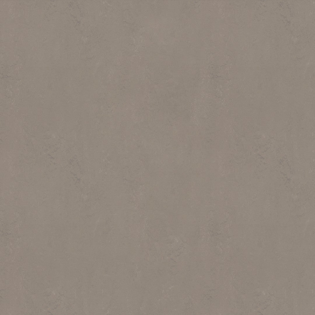 Forbo Marmoleum Concrete 6.5' x 105' Smooth Vinyl Sheet