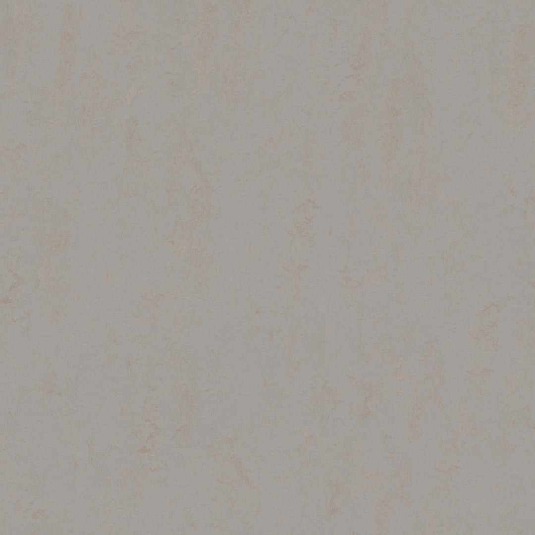 Forbo Marmoleum Decibel 6.5' x 105' Smooth Vinyl Sheet