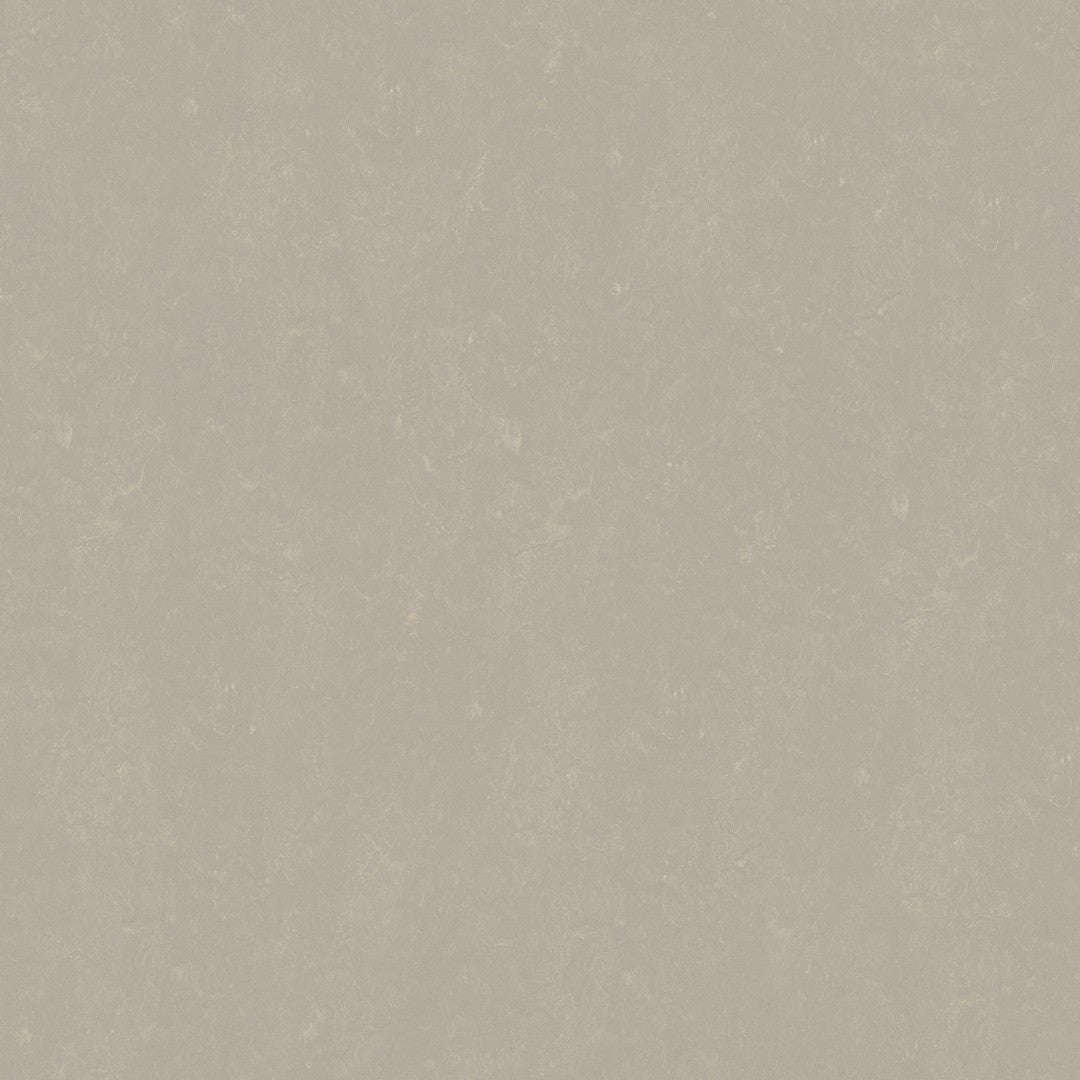 Forbo Marmoleum Decibel 6.5' x 105' Smooth Vinyl Sheet