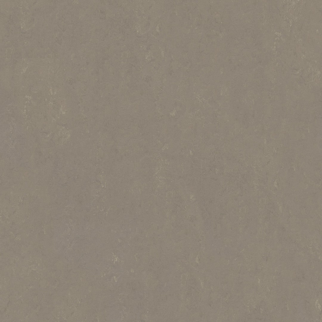 Forbo Marmoleum Decibel 6.5' x 105' Smooth Vinyl Sheet