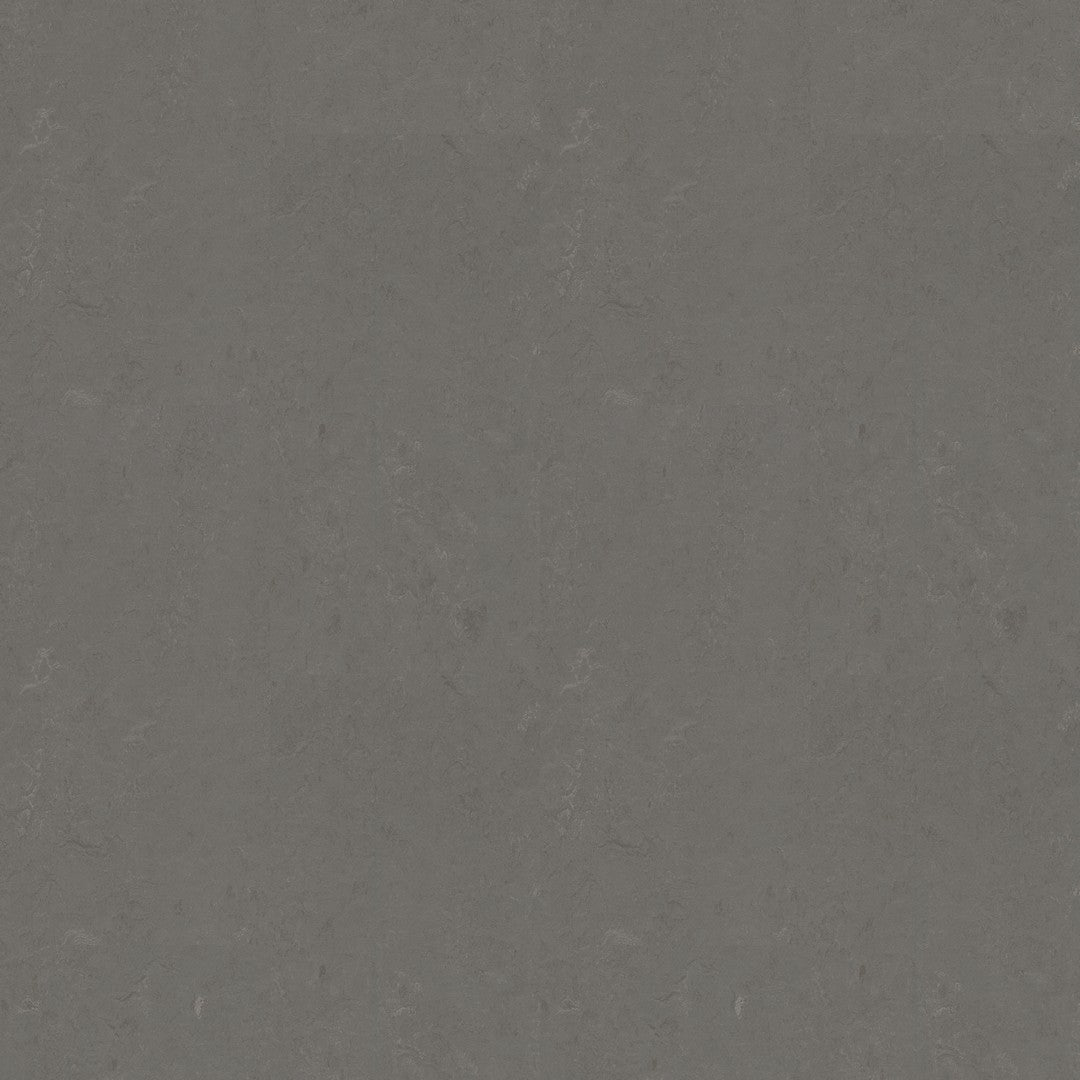 Forbo Marmoleum Concrete 6.5' x 105' Smooth Vinyl Sheet