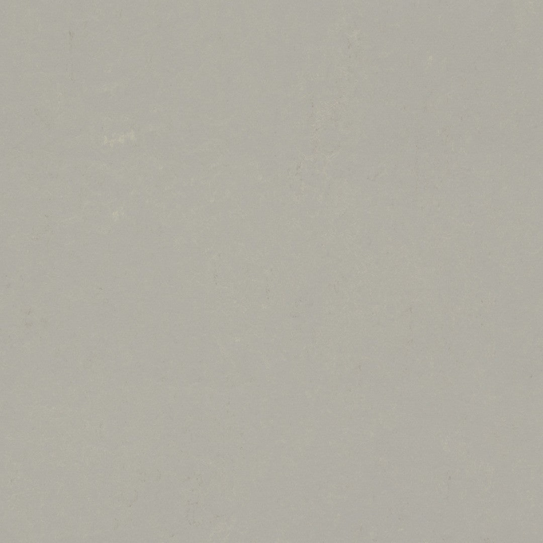 Forbo Marmoleum Decibel 6.5' x 105' Smooth Vinyl Sheet