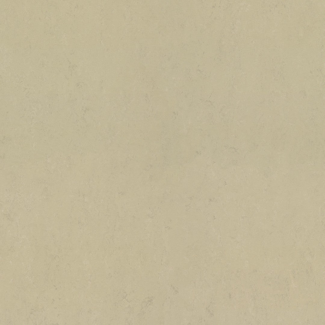 Forbo Marmoleum Concrete 6.5' x 105' Smooth Vinyl Sheet