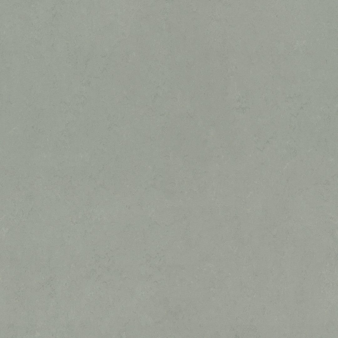 Forbo Marmoleum Concrete 6.5' x 105' Smooth Vinyl Sheet