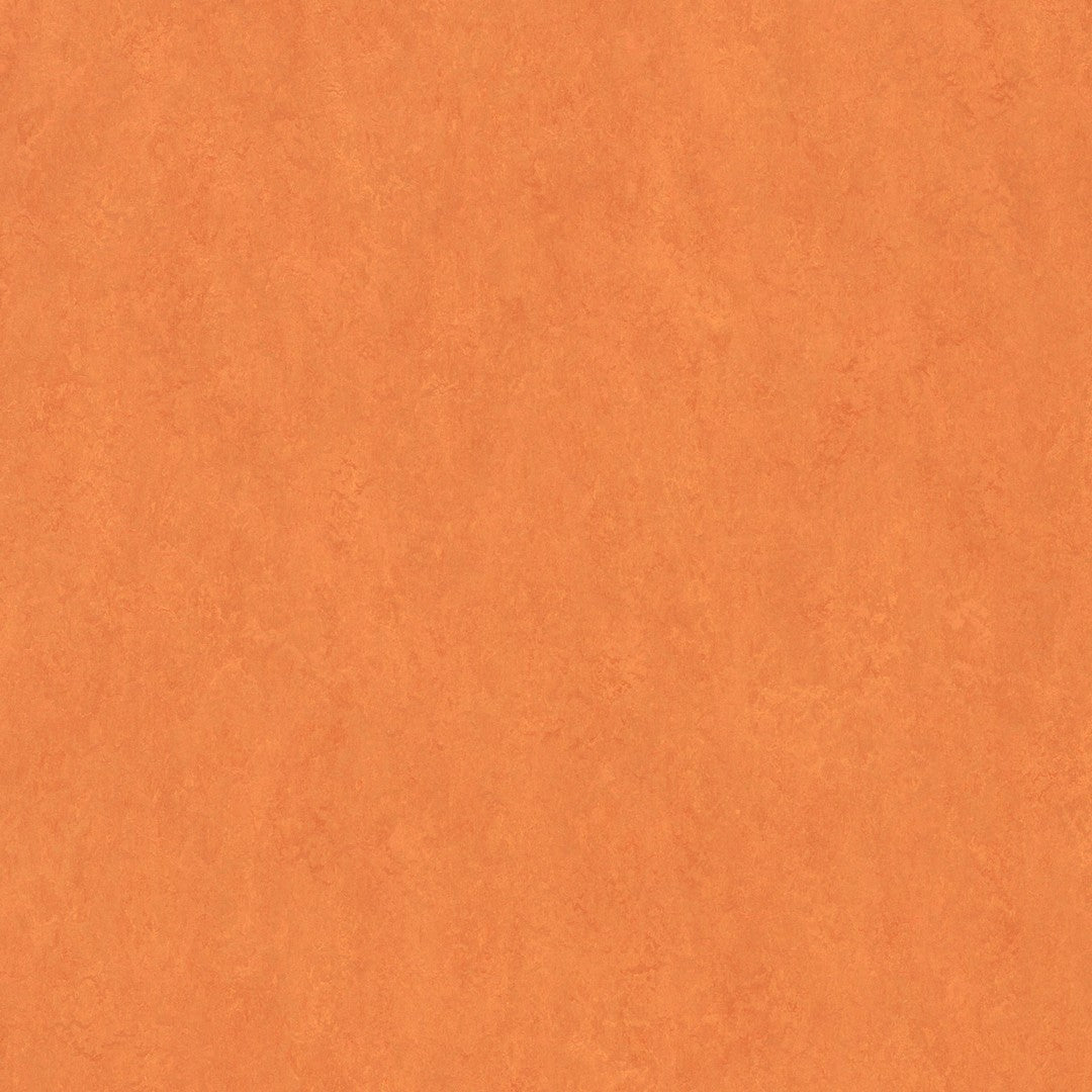 Forbo Marmoleum Fresco 6.5' x 105' Smooth Vinyl Sheet
