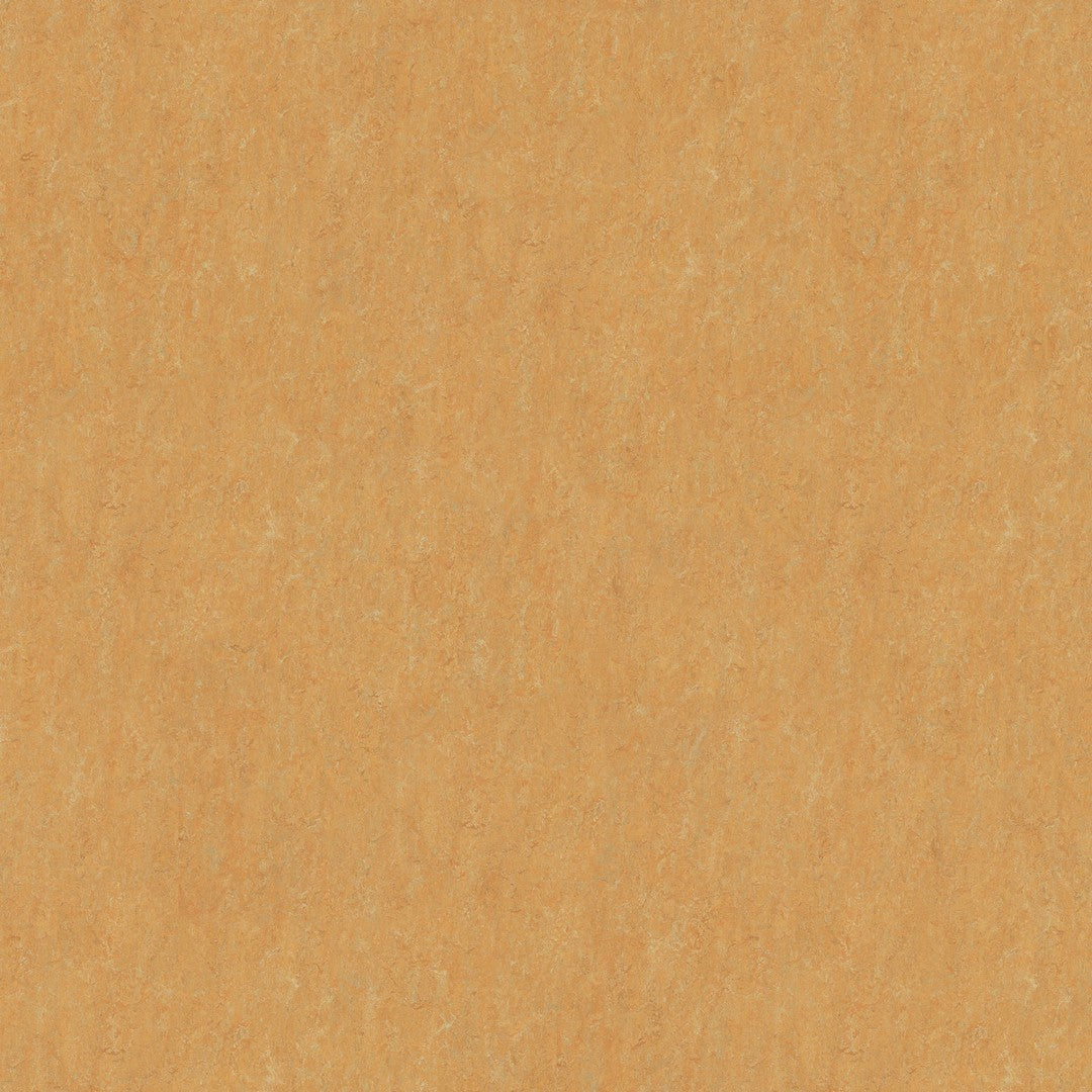 Forbo MCS 6.5' x 105' Smooth Vinyl Sheet