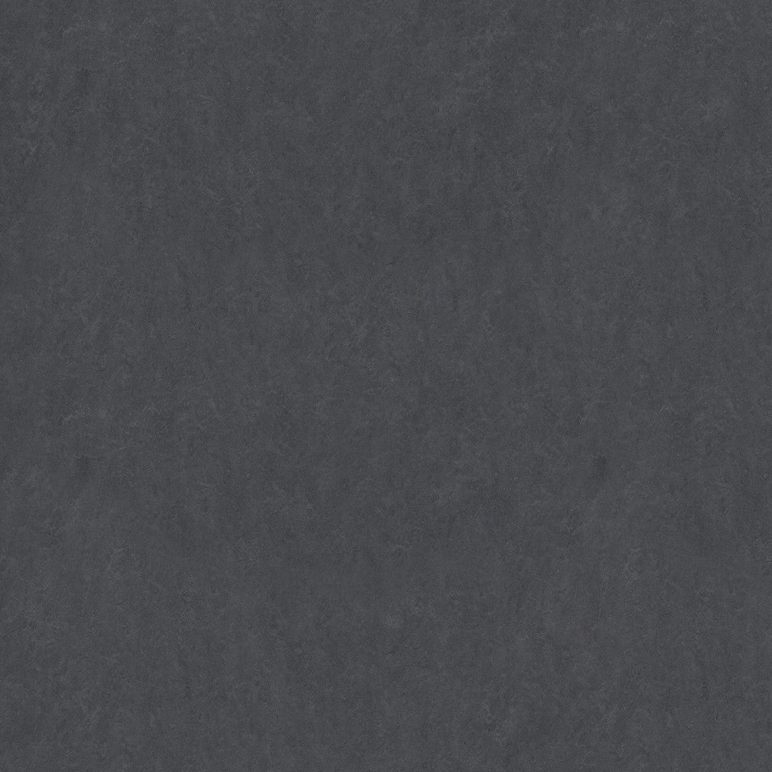 Forbo Marmoleum Decibel 6.5' x 105' Smooth Vinyl Sheet