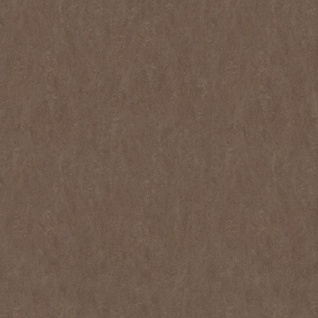 Forbo Marmoleum Fresco 6.5' x 105' Smooth Vinyl Sheet